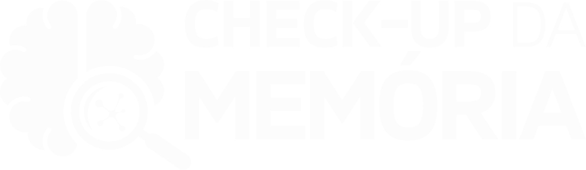 Check Up da Memória
